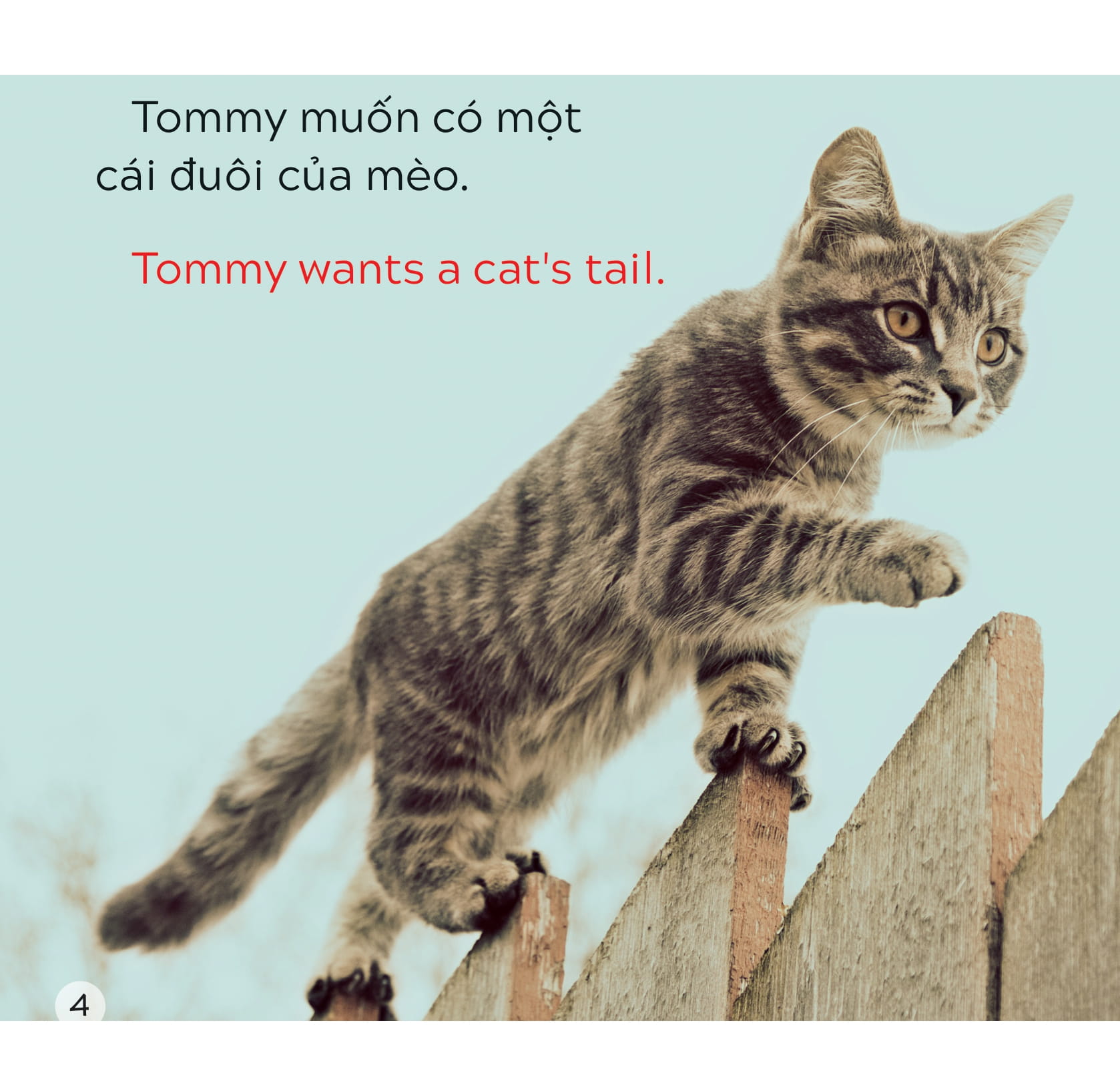 song ngữ việt anh - khám phá thế giới - tommy muốn có một cái đuôi - tommy wants a tail