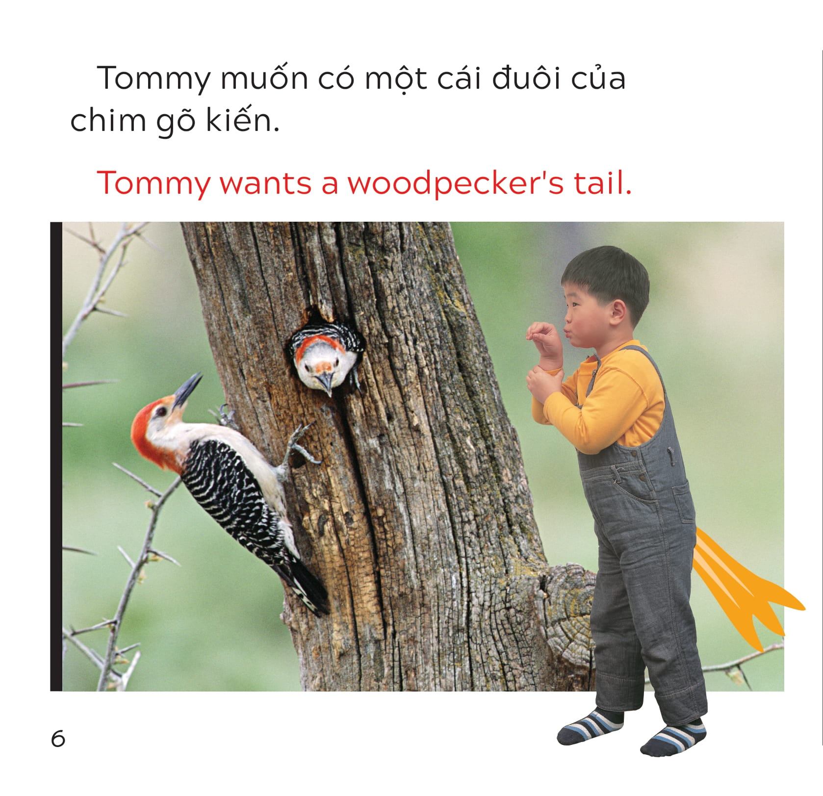 song ngữ việt anh - khám phá thế giới - tommy muốn có một cái đuôi - tommy wants a tail