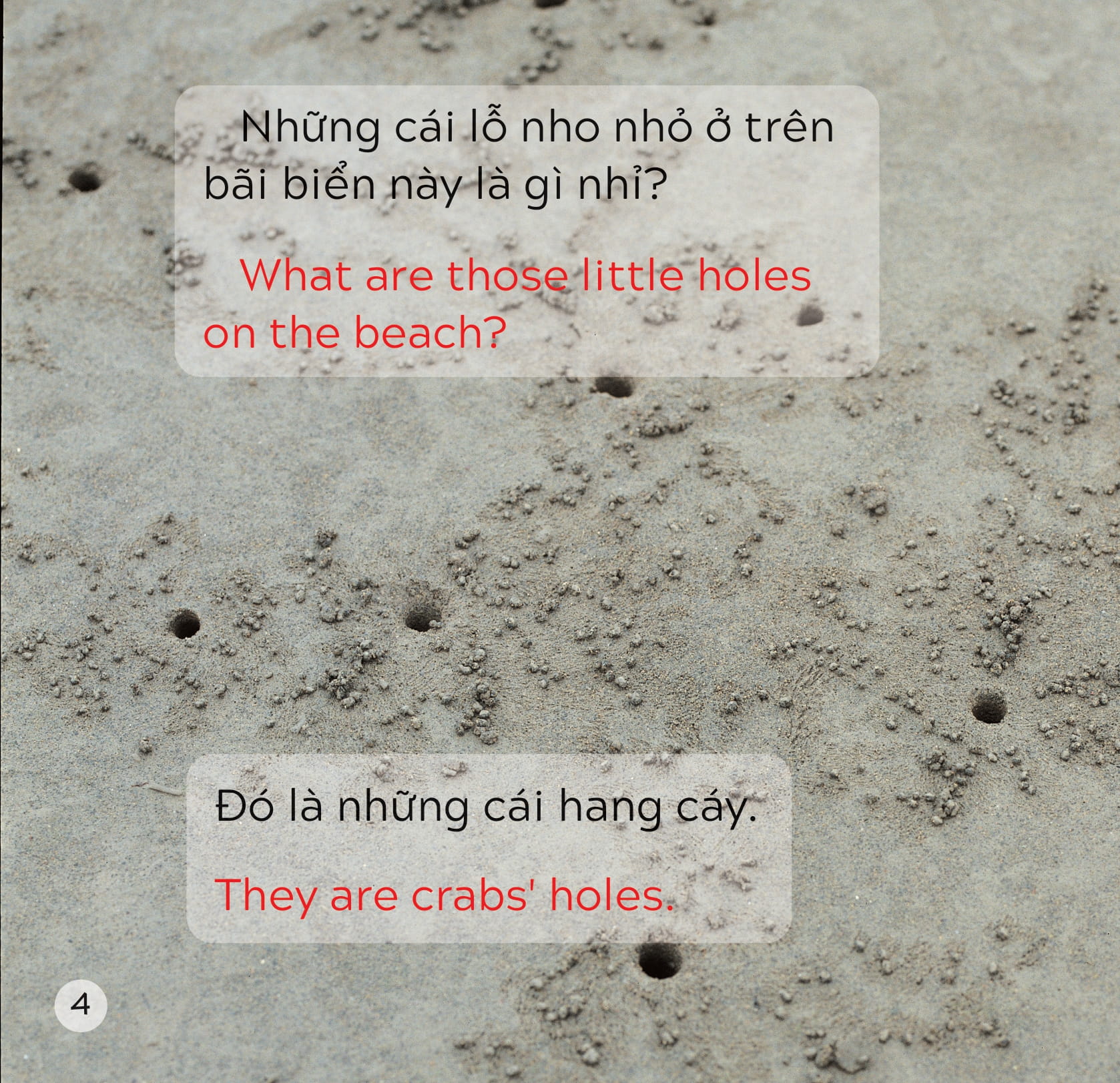 song ngữ việt anh - khám phá thế giới - trên bãi biển - at the beach
