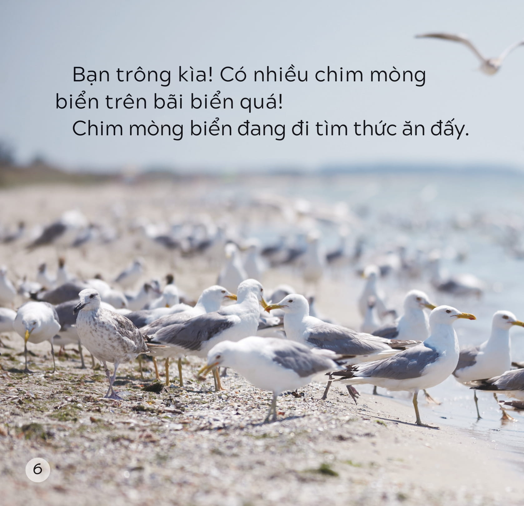 song ngữ việt anh - khám phá thế giới - trên bãi biển - at the beach