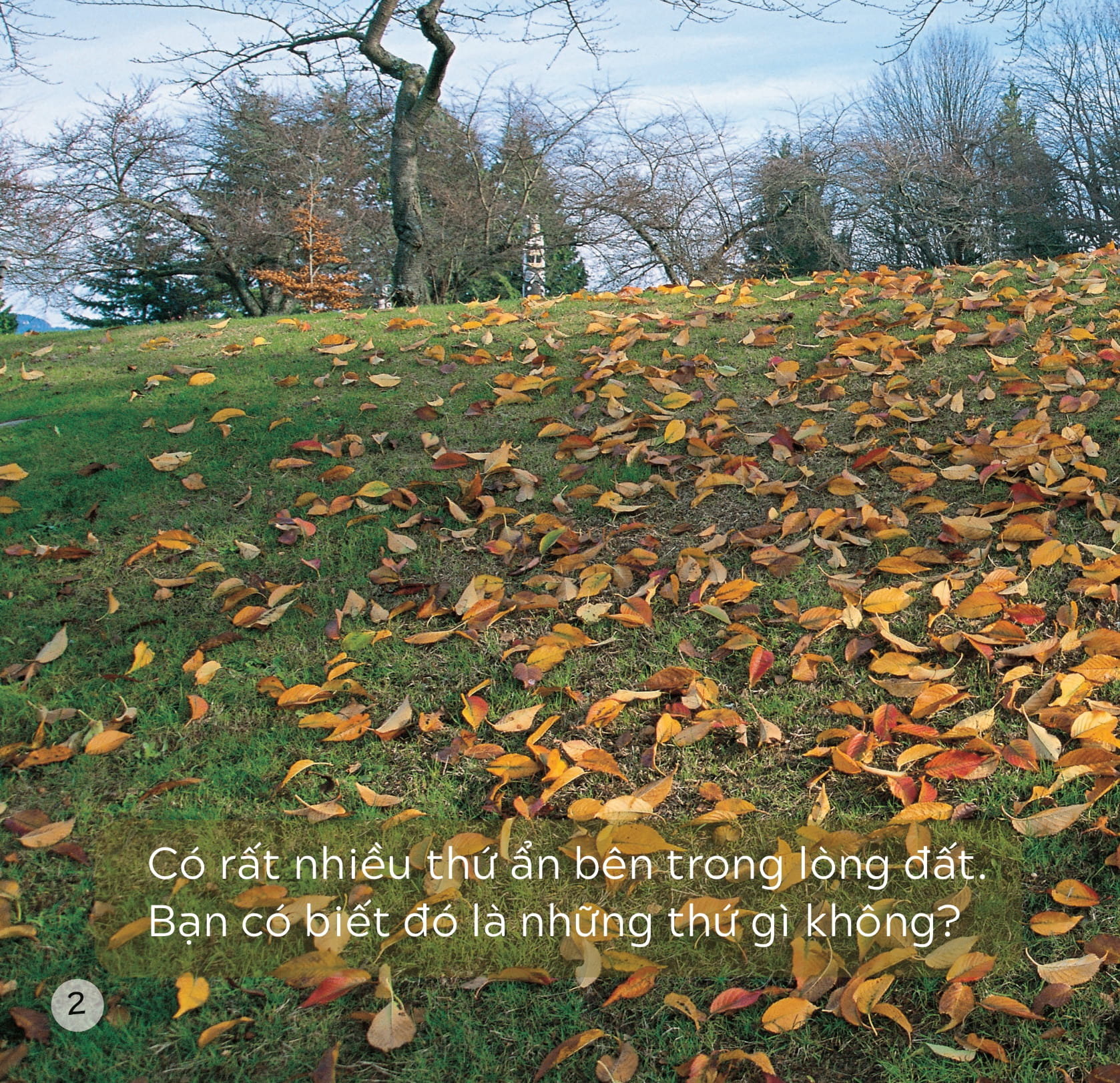 song ngữ việt anh - khám phá thế giới - trong lòng đất - under the ground