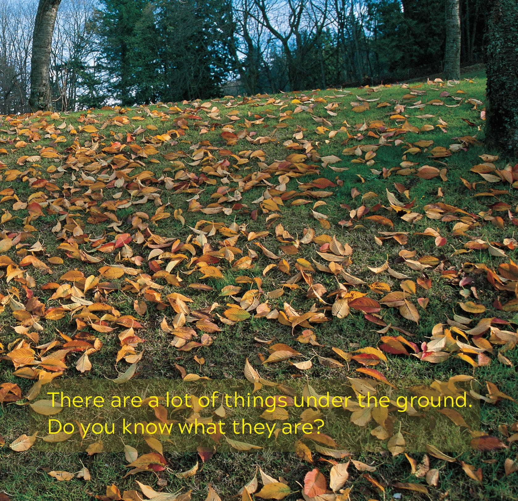 song ngữ việt anh - khám phá thế giới - trong lòng đất - under the ground