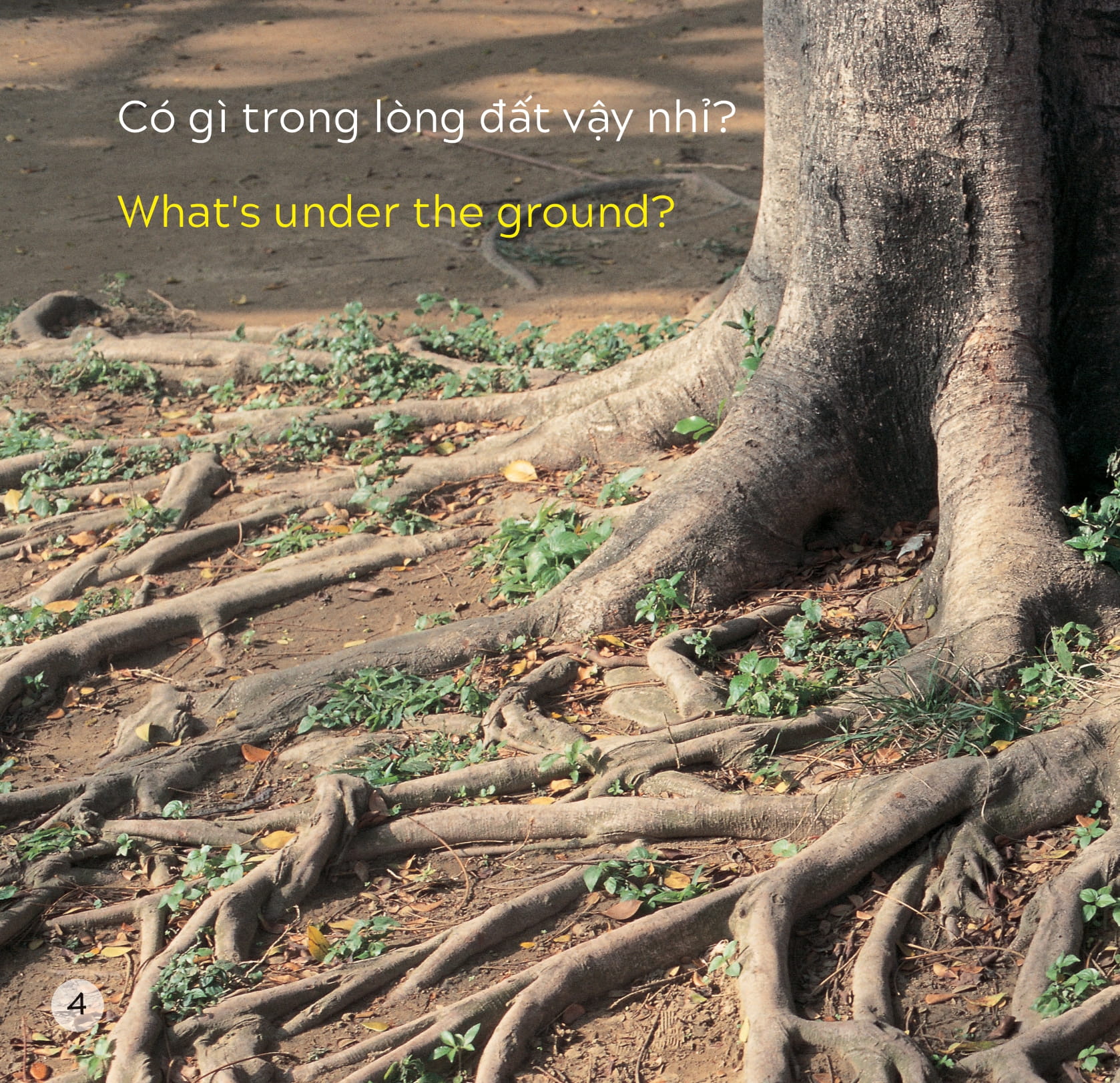 song ngữ việt anh - khám phá thế giới - trong lòng đất - under the ground