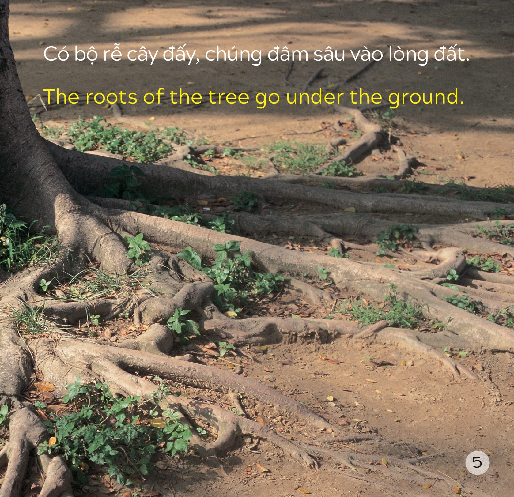 song ngữ việt anh - khám phá thế giới - trong lòng đất - under the ground