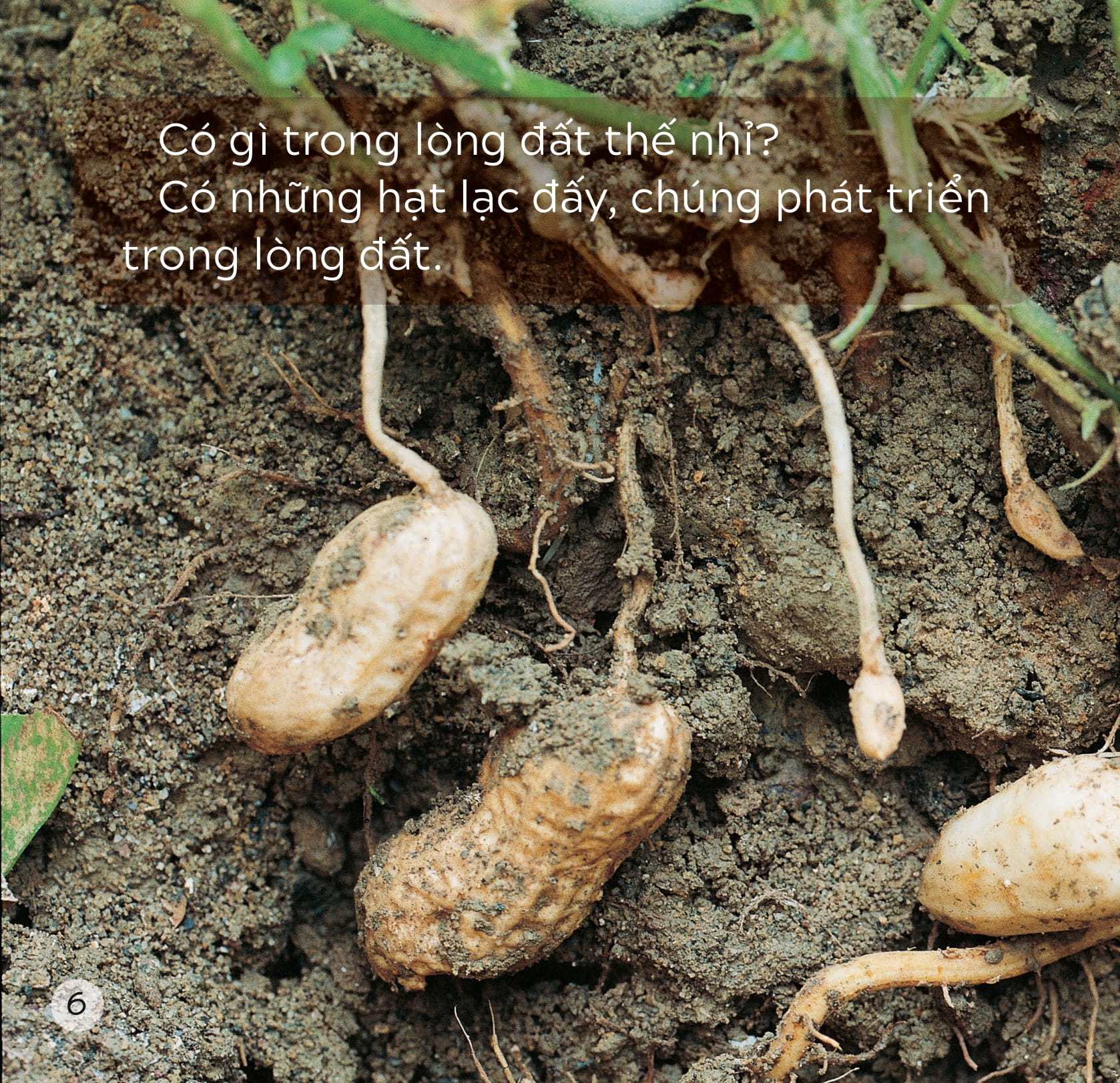 song ngữ việt anh - khám phá thế giới - trong lòng đất - under the ground