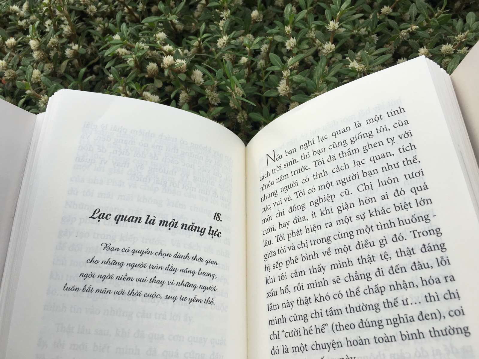 sống như bạn đang ở sân bay