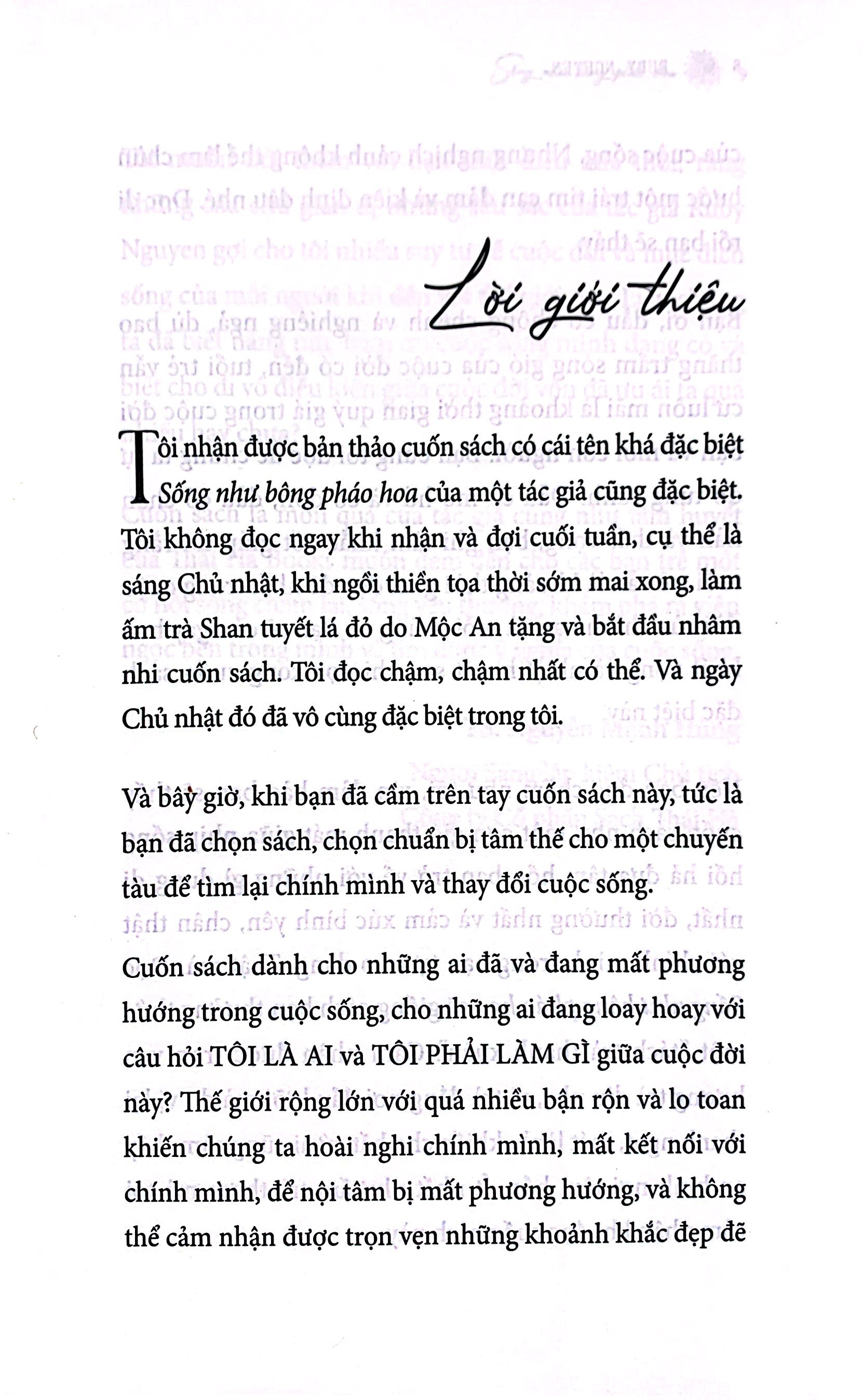 sống như bông pháo hoa - hành trình khám phá điều quý giá nhất cuộc đời