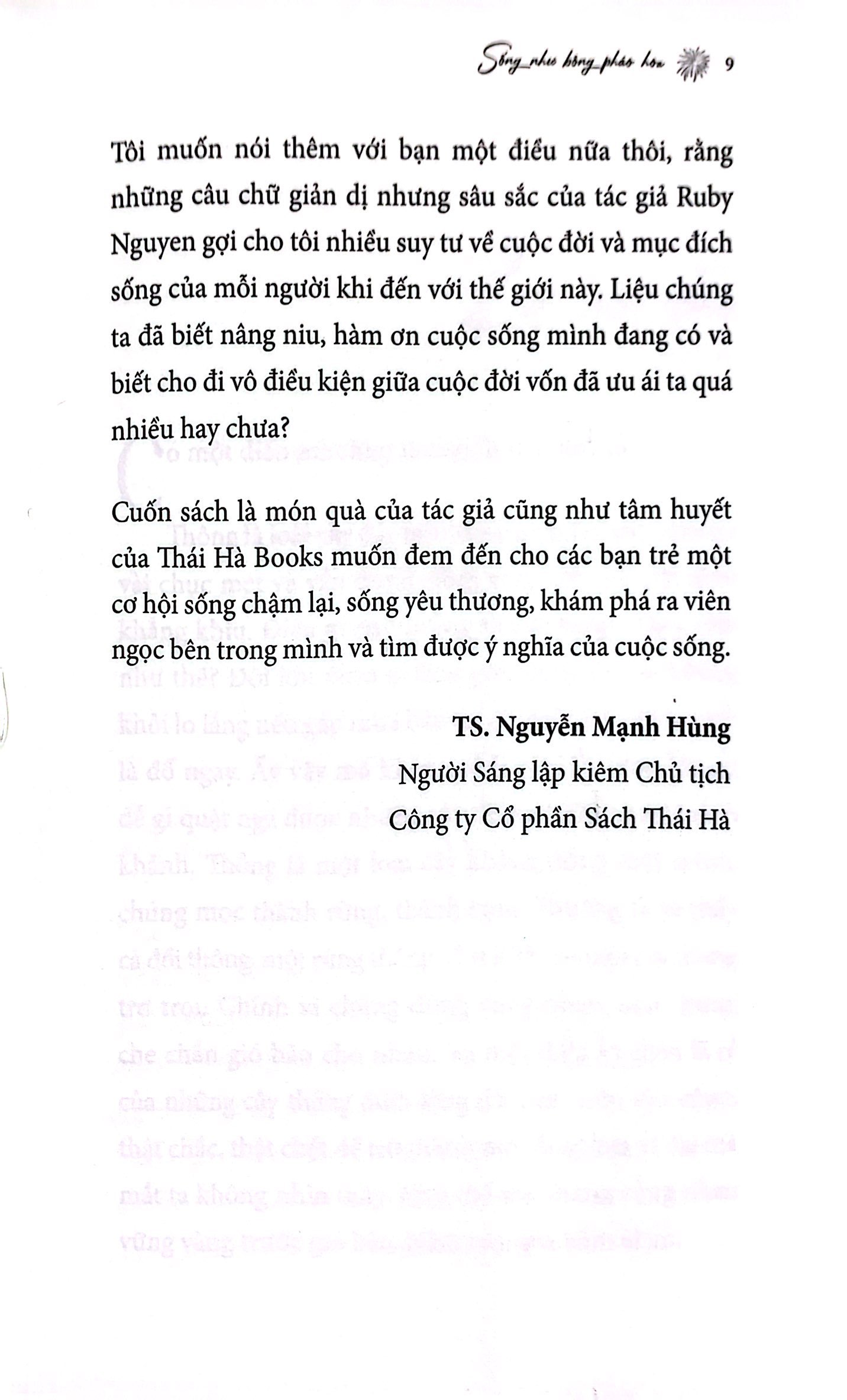 sống như bông pháo hoa - hành trình khám phá điều quý giá nhất cuộc đời