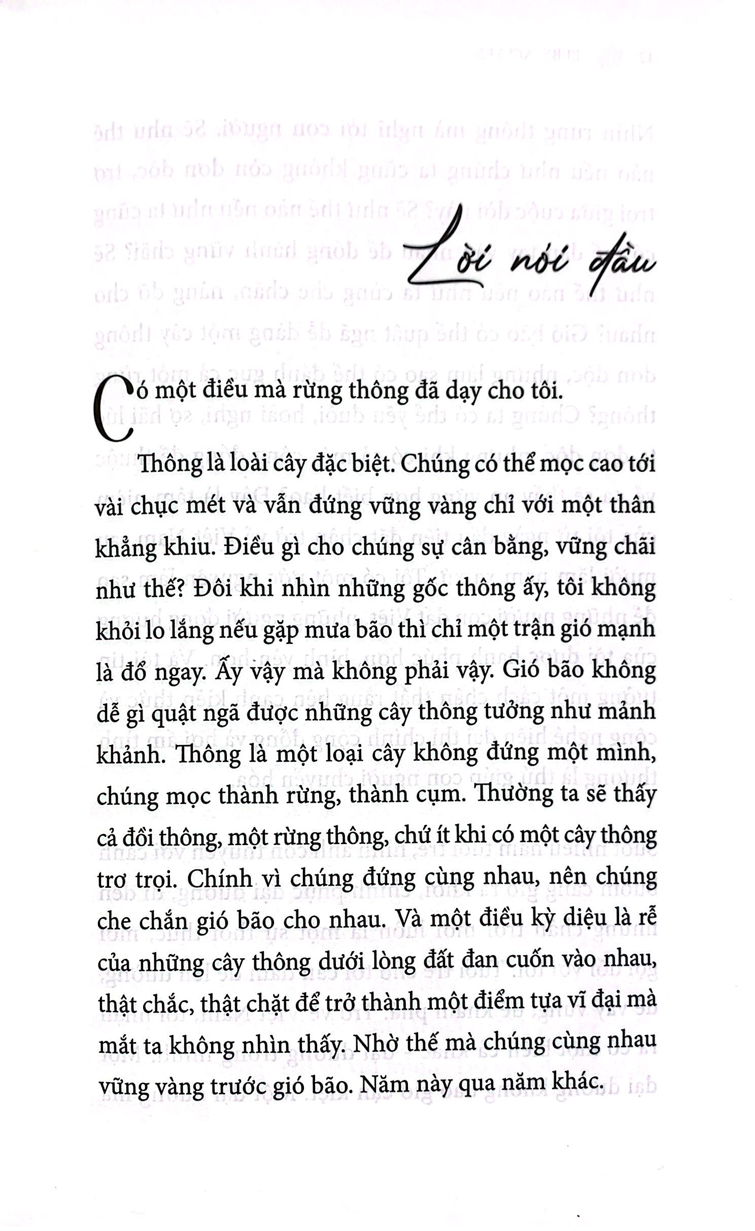 sống như bông pháo hoa - hành trình khám phá điều quý giá nhất cuộc đời