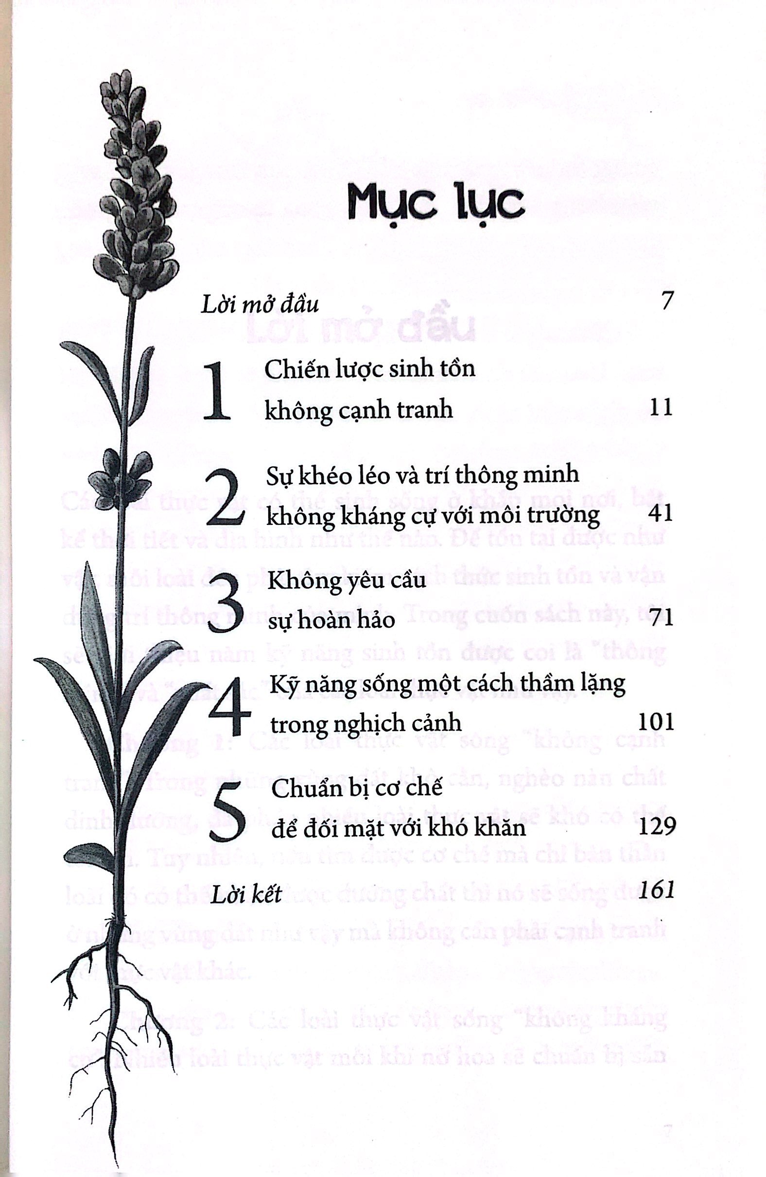 sống như một cái cây: không tham lam, không chiến đấu vô ích, sống khôn ngoan một cách thầm lặng