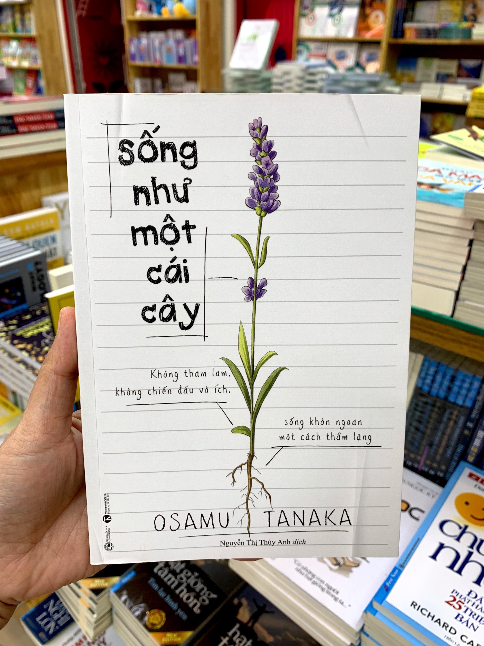 sống như một cái cây: không tham lam, không chiến đấu vô ích, sống khôn ngoan một cách thầm lặng