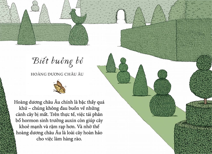 sống như những cái cây - những bài học nhỏ để có nguồn hạnh phúc bất tận (tái bản 2021)