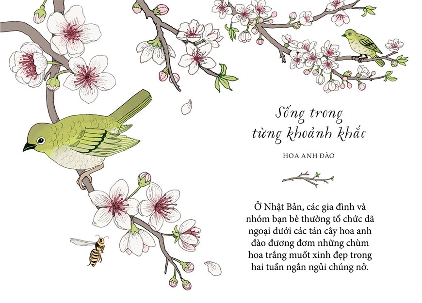 sống như những cái cây - những bài học nhỏ để có nguồn hạnh phúc bất tận (tái bản 2021)