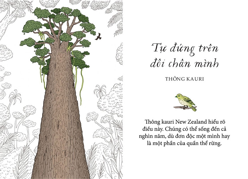 sống như những cái cây - những bài học nhỏ để có nguồn hạnh phúc bất tận (tái bản 2021)