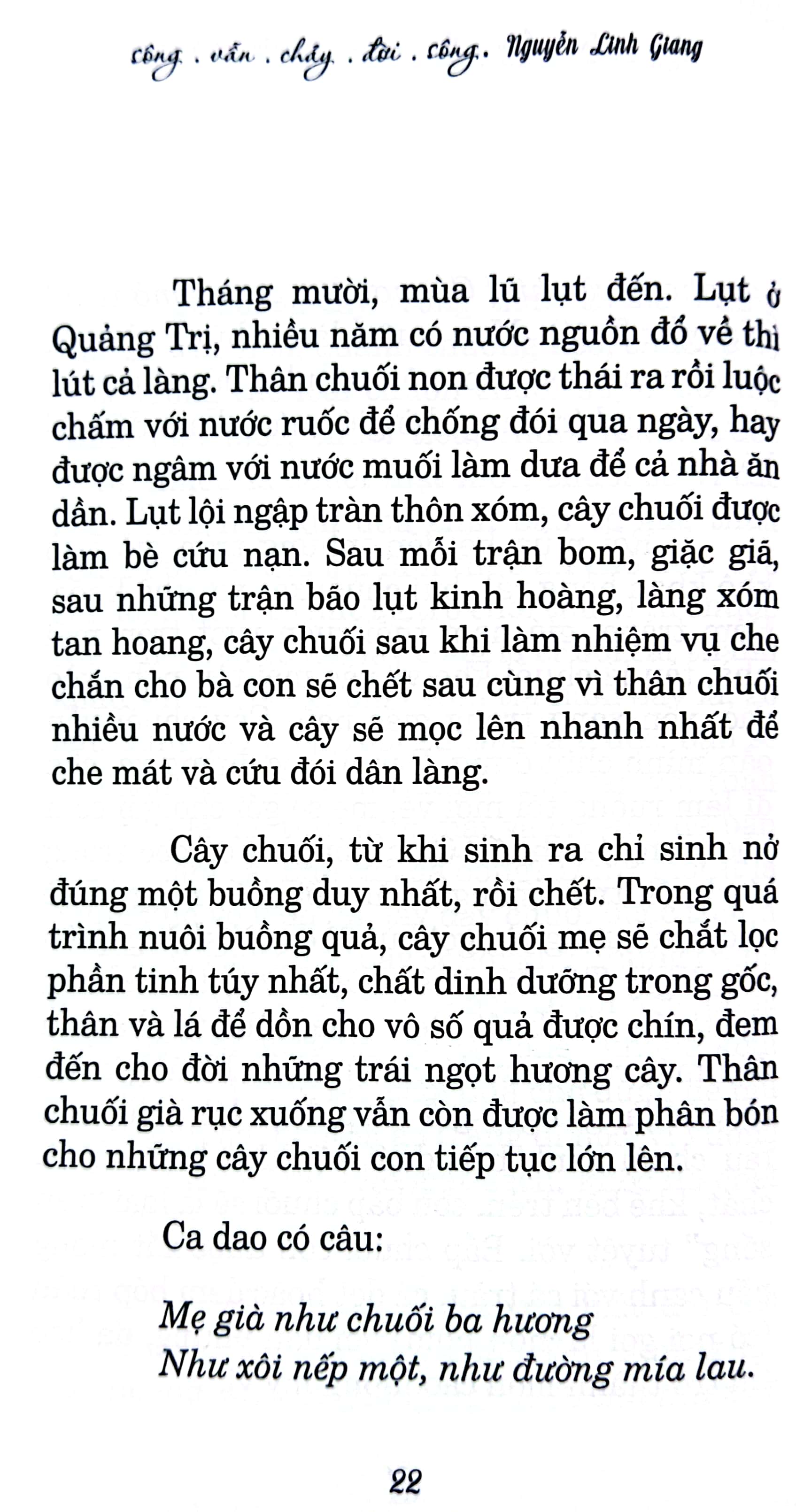 sông vẫn chảy đời sông