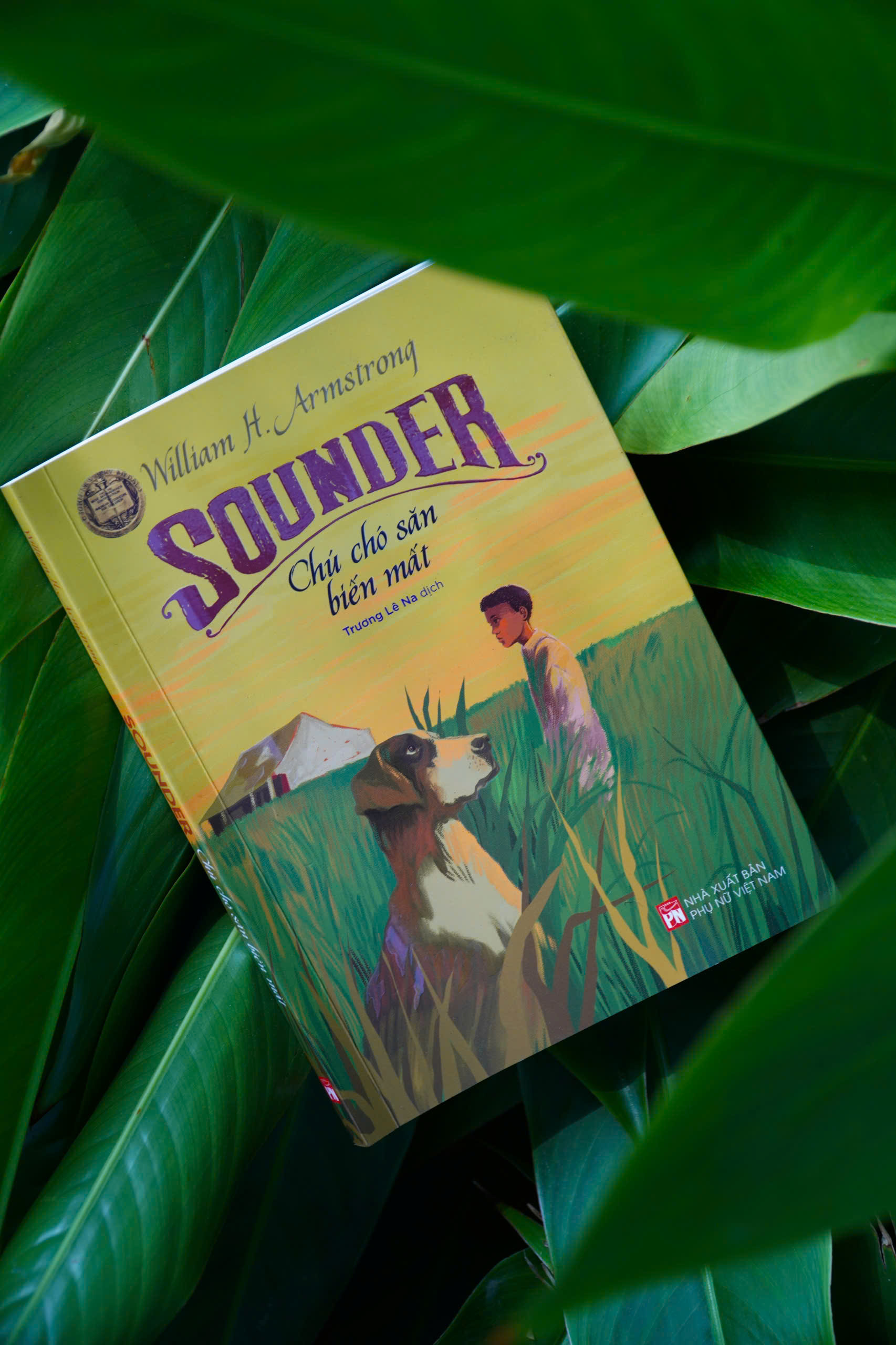 Sounder - Chú Chó Săn Biến Mất