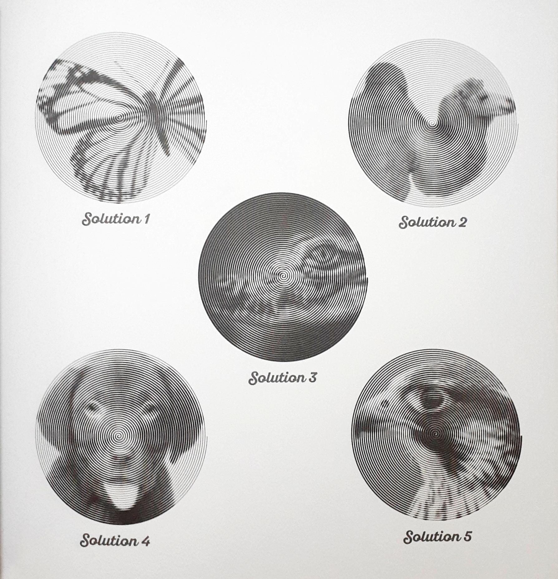 spiralscopes: amazing animals