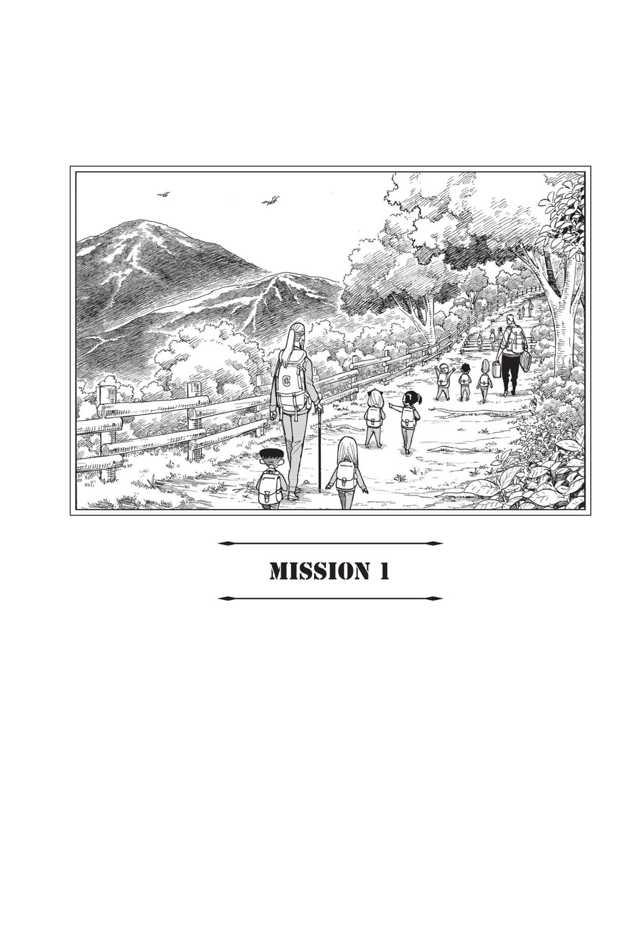 spy x family - family portrait (english edition)