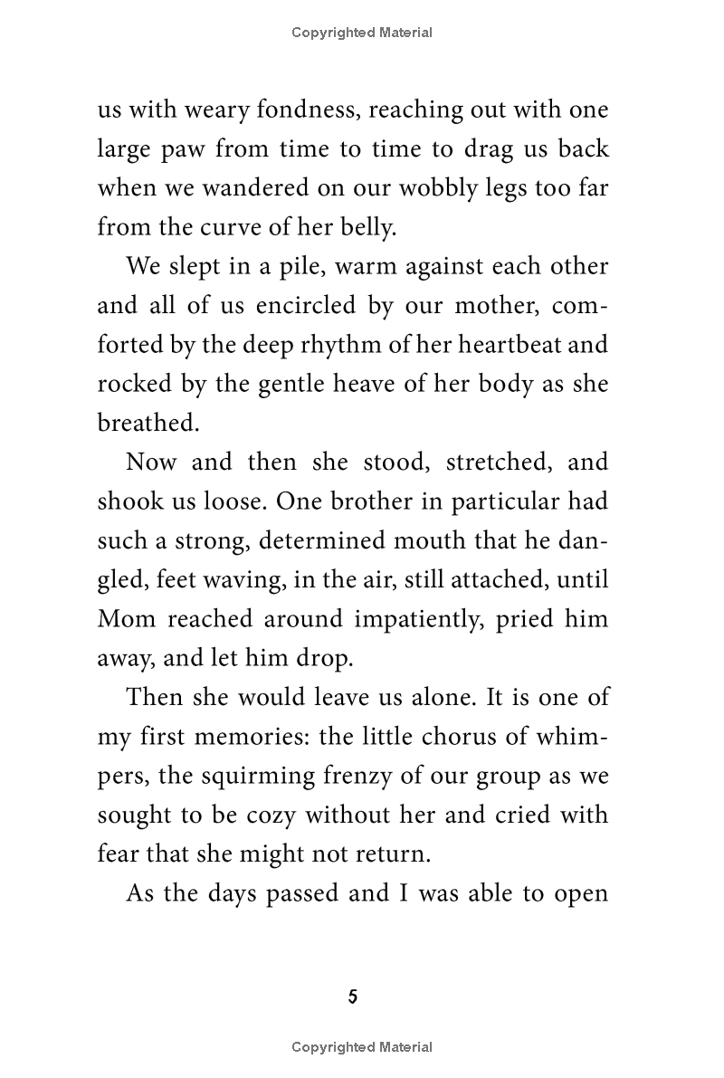 stay! keeper's story