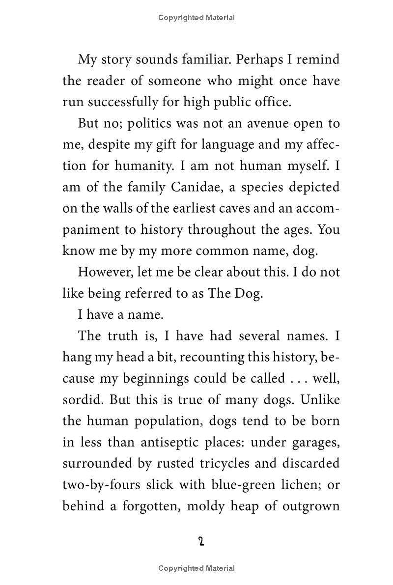 stay! keeper's story