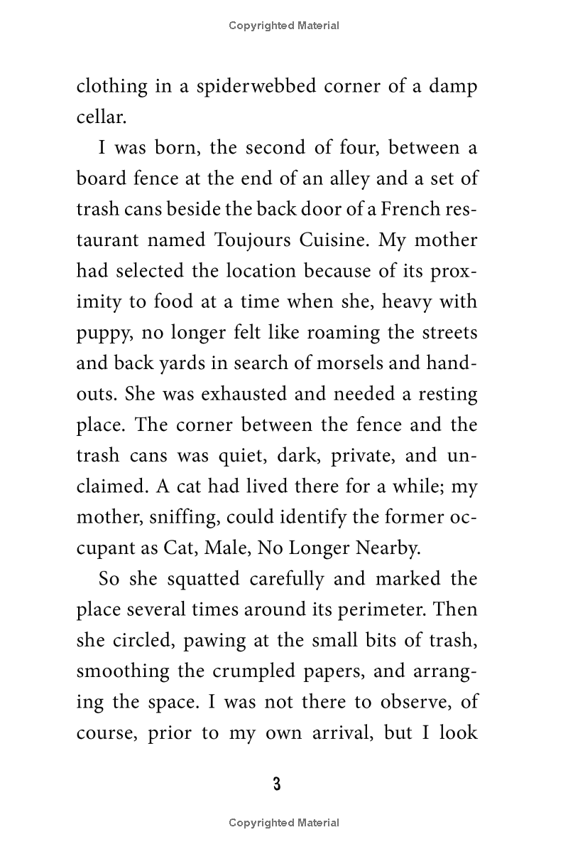 stay! keeper's story