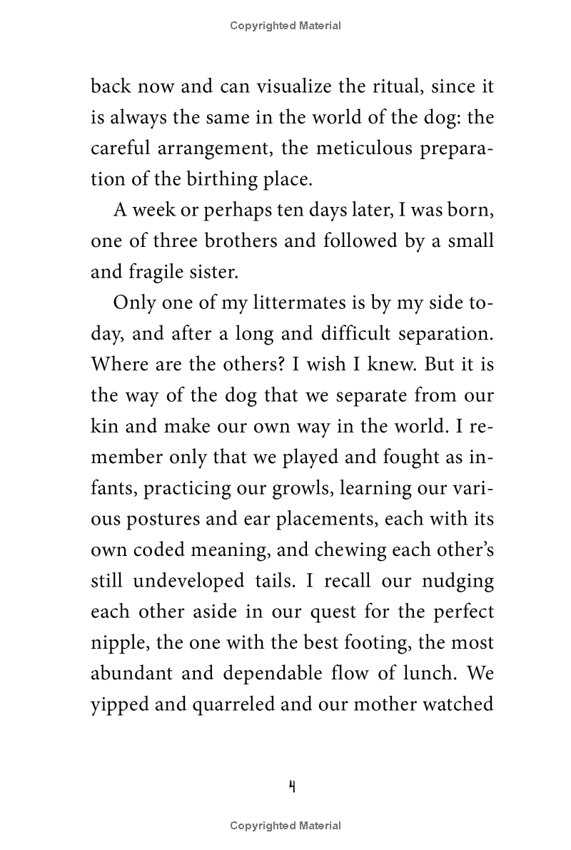 stay! keeper's story