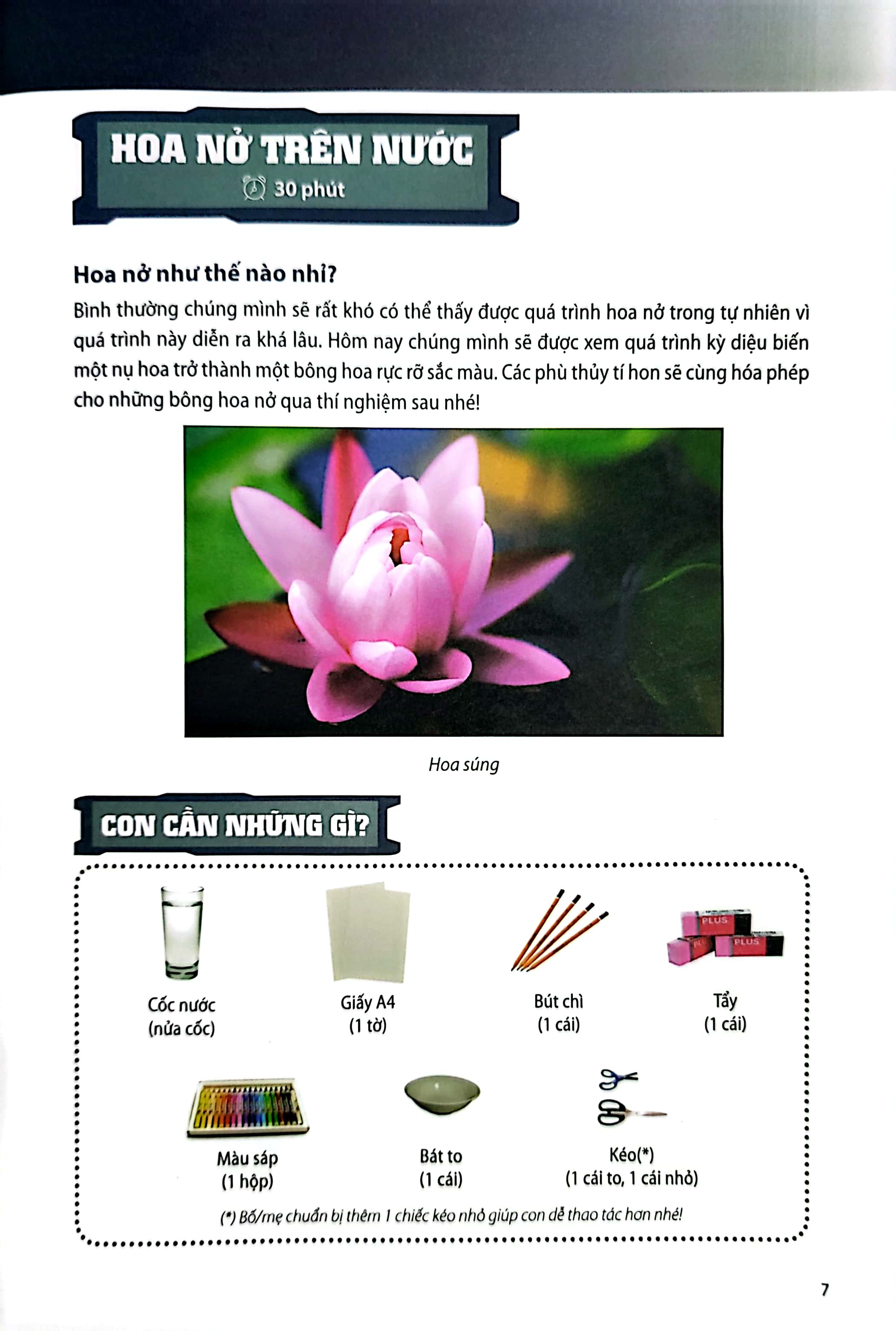 steam for kids - tớ là phù thủy tí hon (giáo dục sớm 3-6 tuổi)