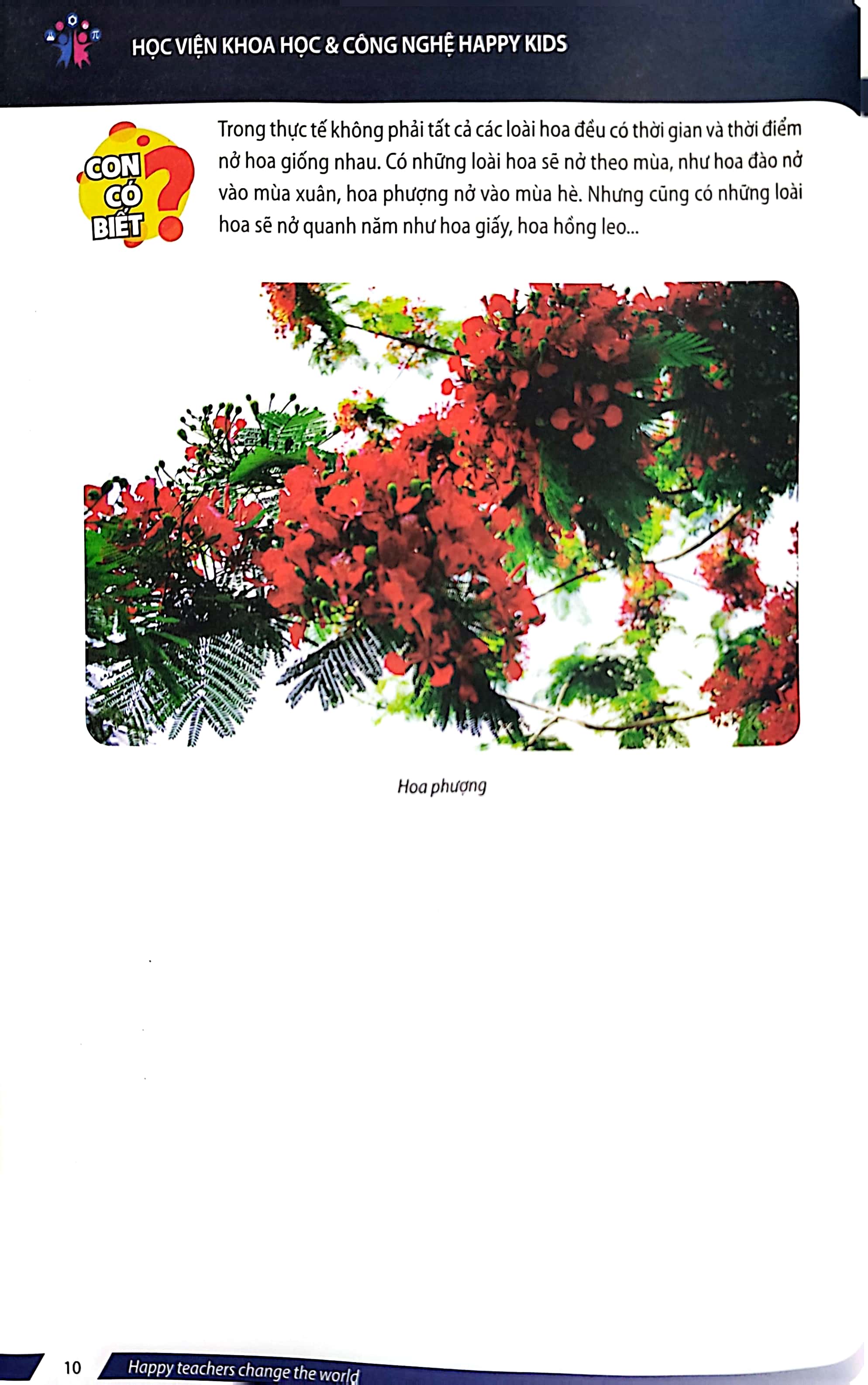 steam for kids - tớ là phù thủy tí hon (giáo dục sớm 3-6 tuổi)