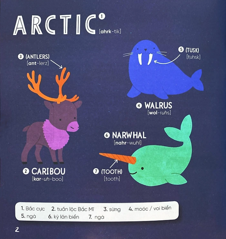 steam words: animals - từ vựng về động vật