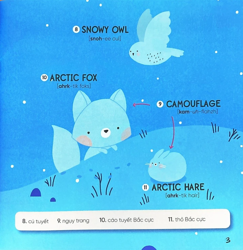 steam words: animals - từ vựng về động vật