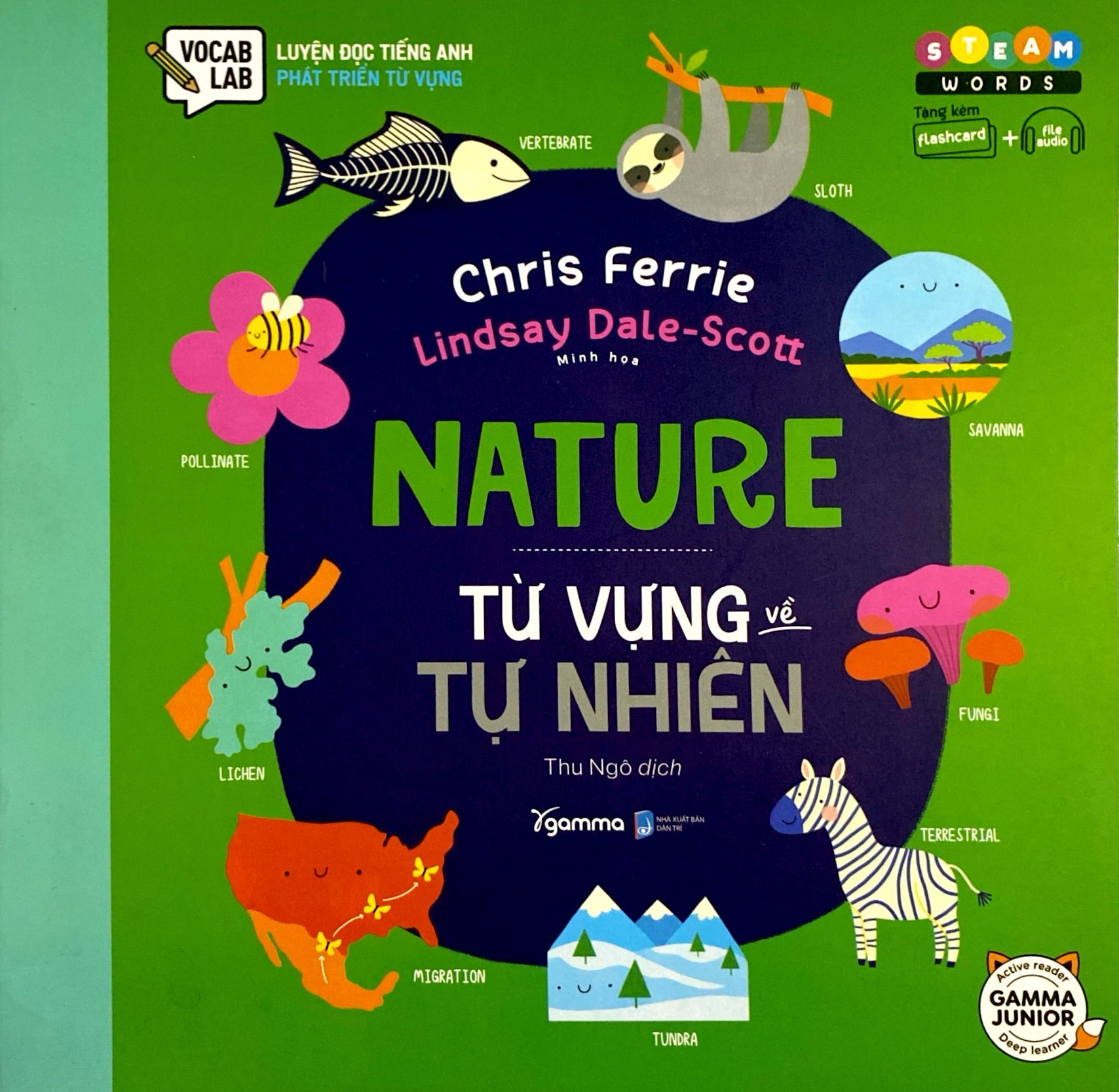 steam words nature - từ vựng về tự nhiên