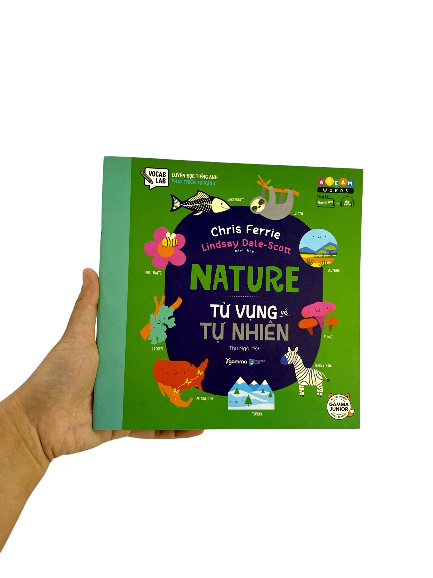 steam words nature - từ vựng về tự nhiên