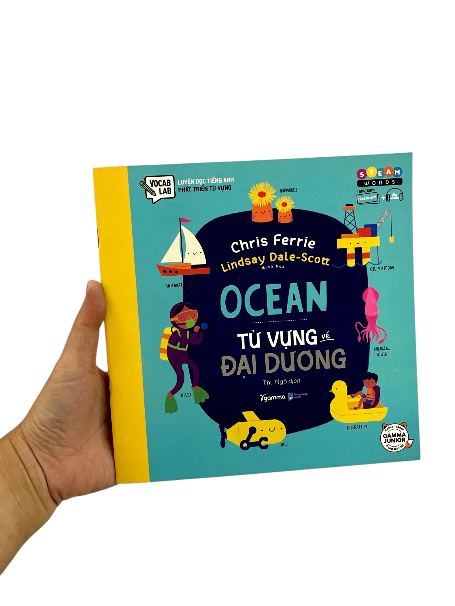 steam words ocean - từ vựng về đại dương