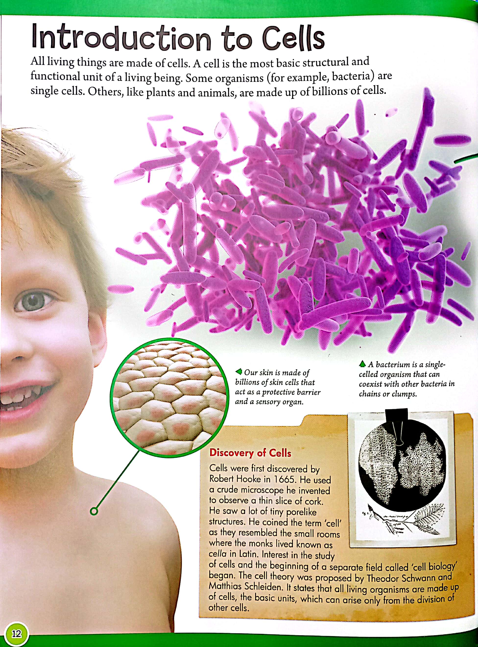 stem - a first introduction to science: discover biology, chemistry & physics