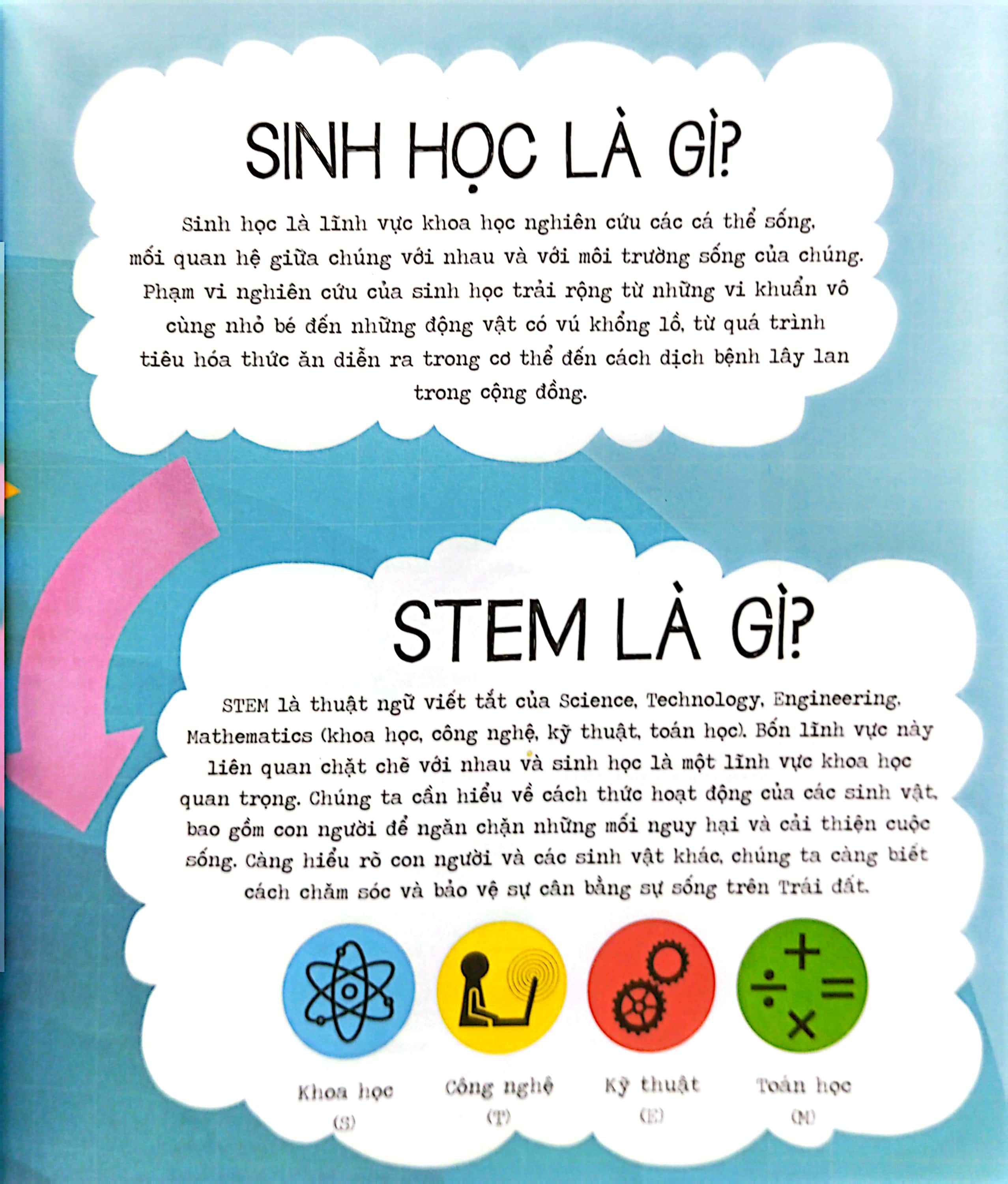 stem quanh em - sinh học siêu kỳ thú