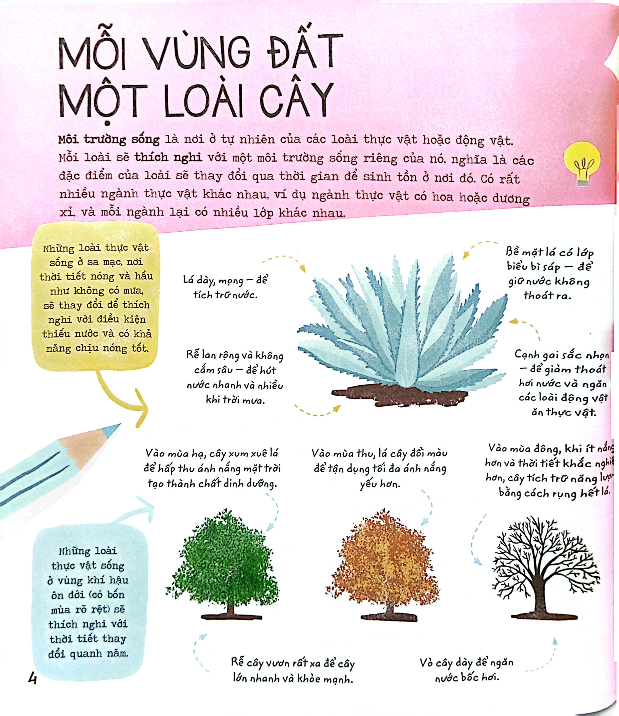 stem quanh em - sinh học siêu kỳ thú