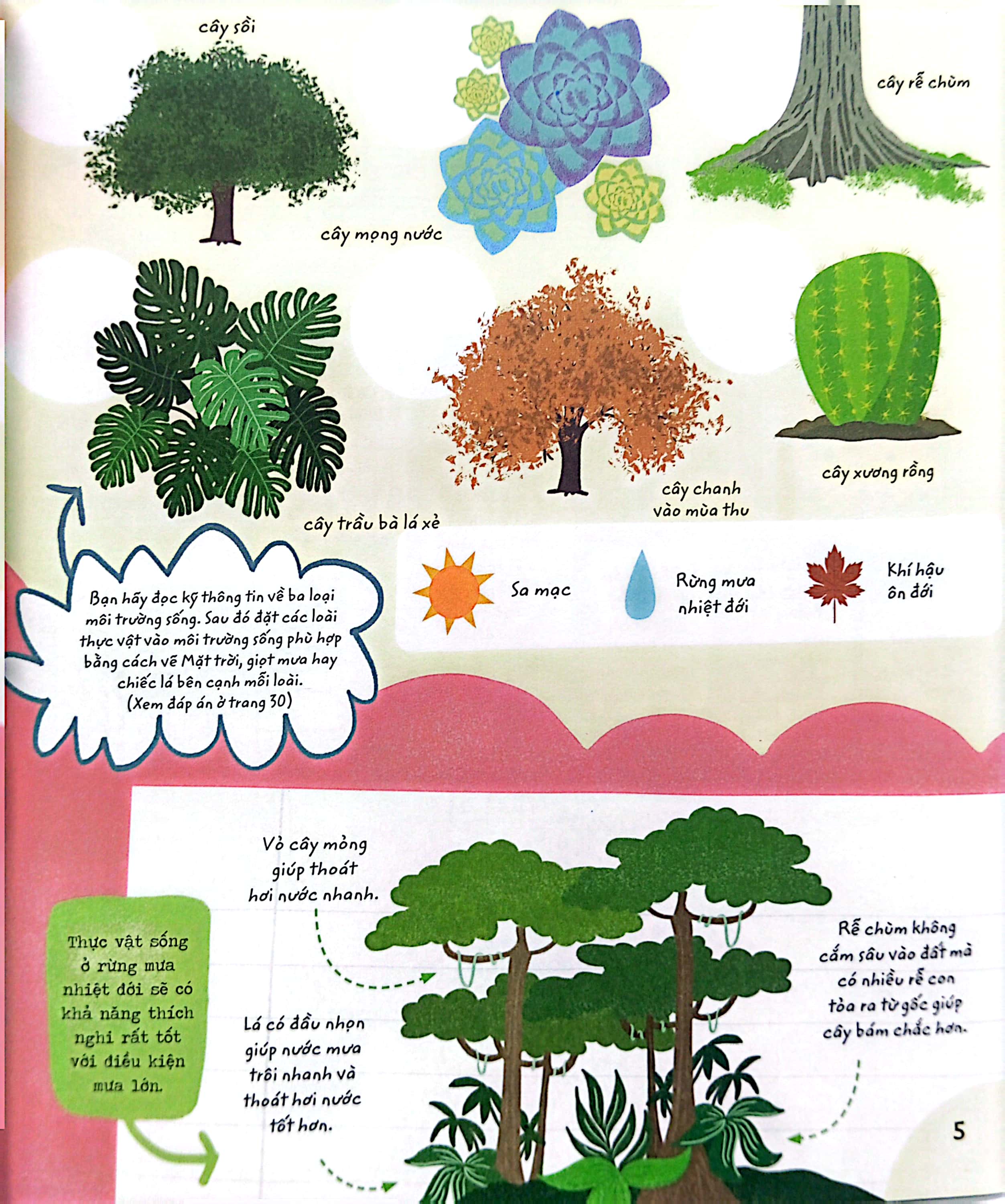 stem quanh em - sinh học siêu kỳ thú