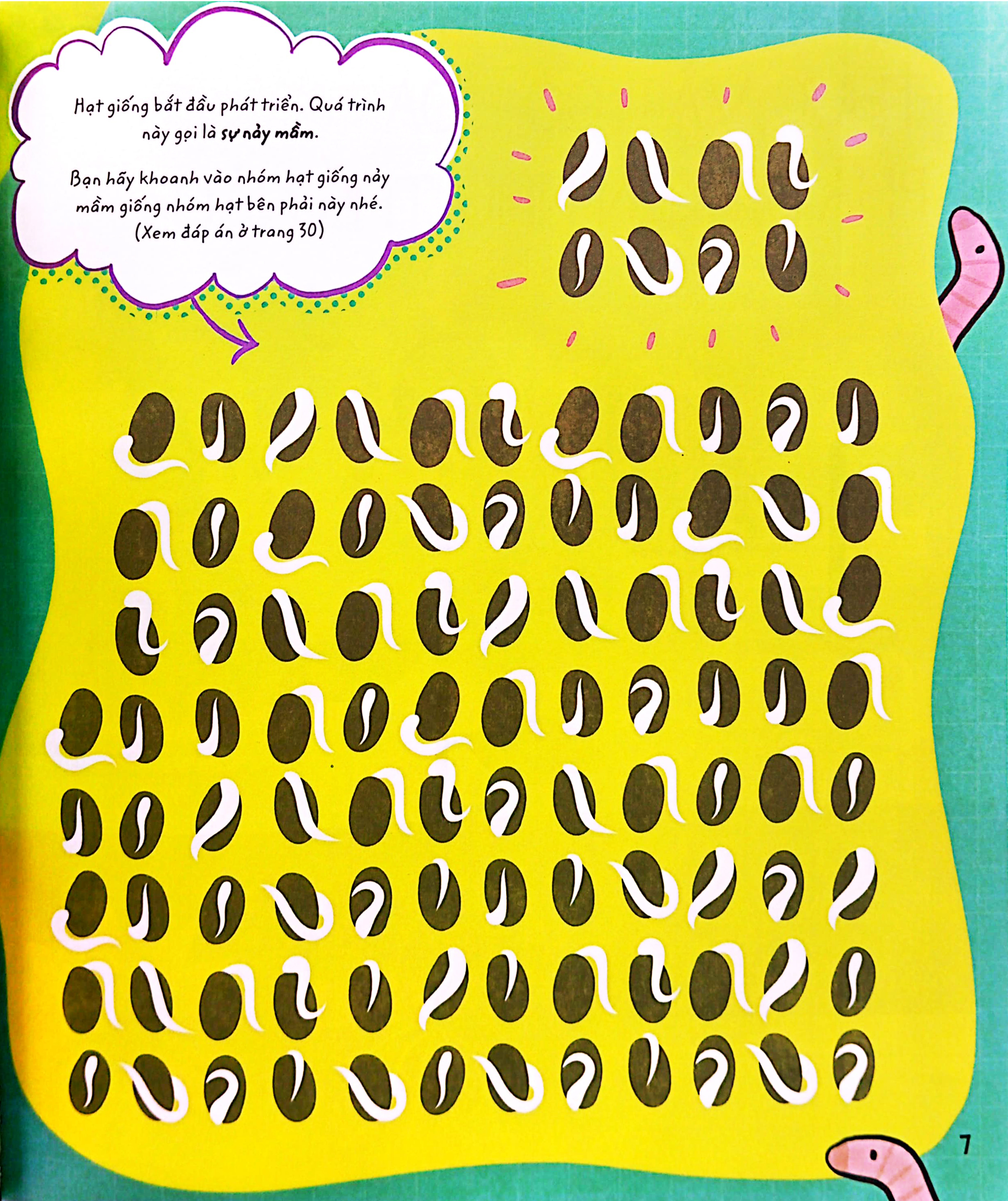 stem quanh em - sinh học siêu kỳ thú