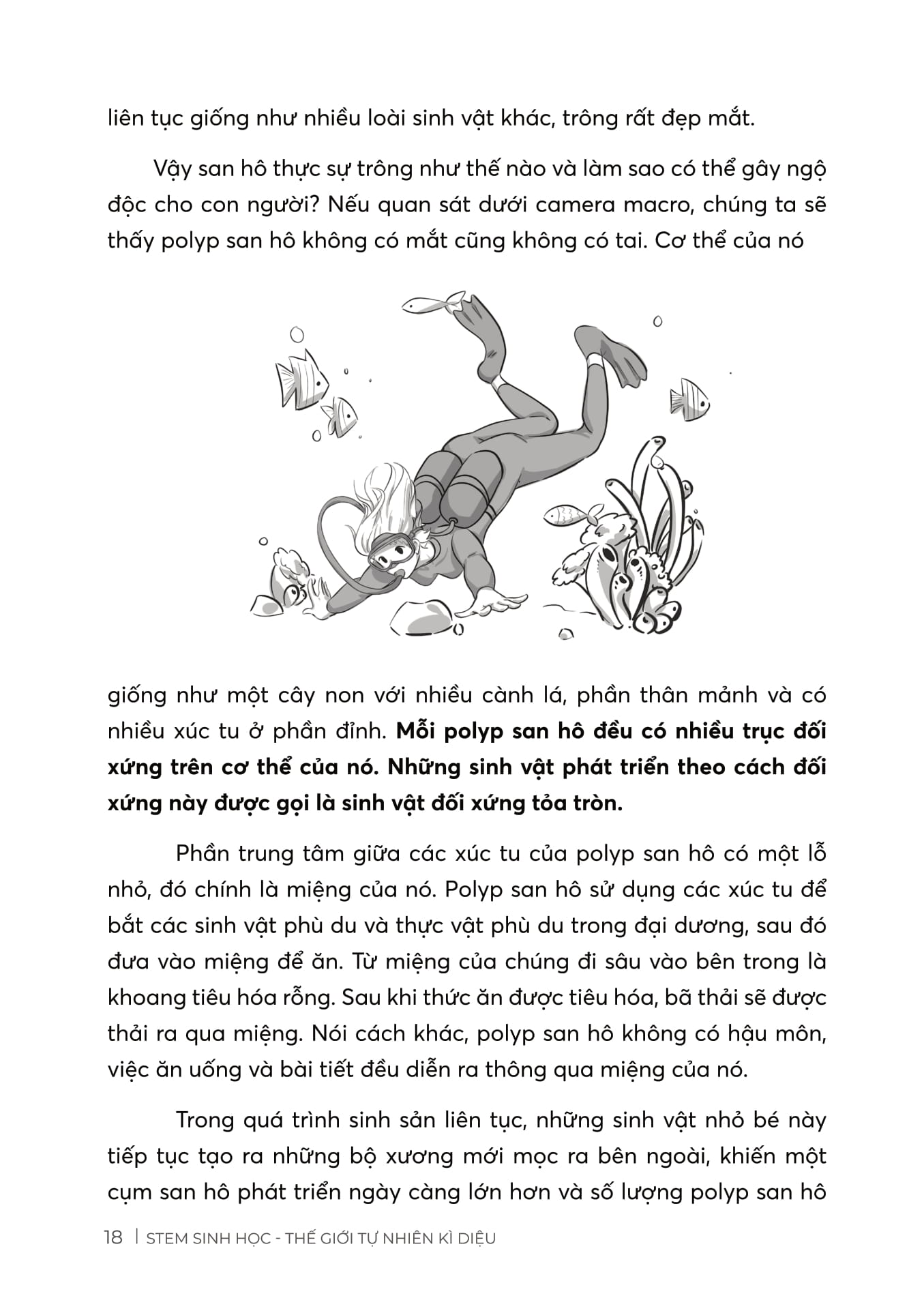 stem sinh học - thế giới tự nhiên kì diệu