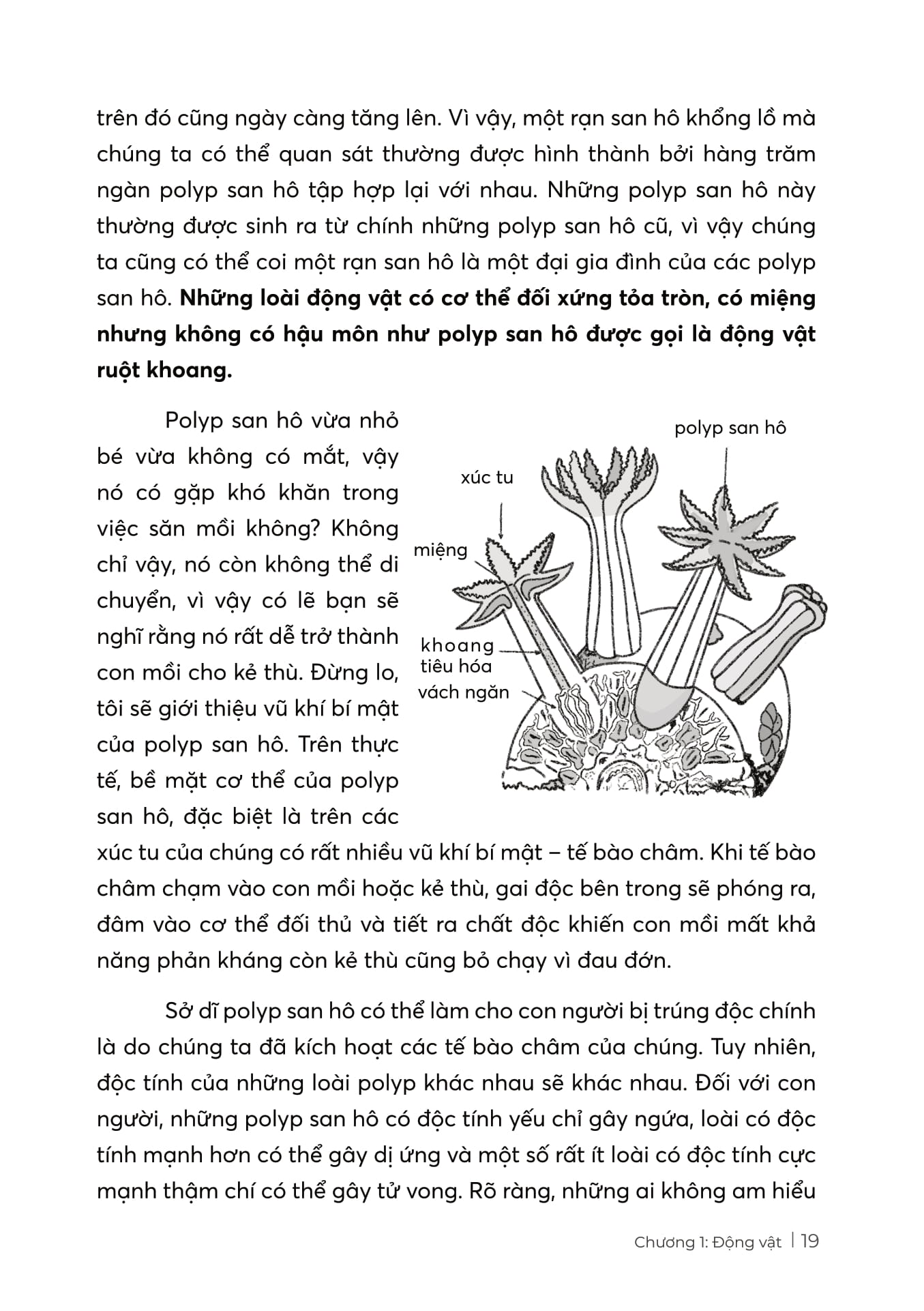 stem sinh học - thế giới tự nhiên kì diệu