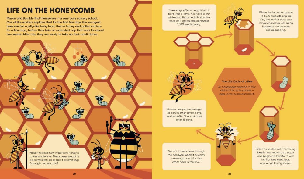 stemville - the bee connection
