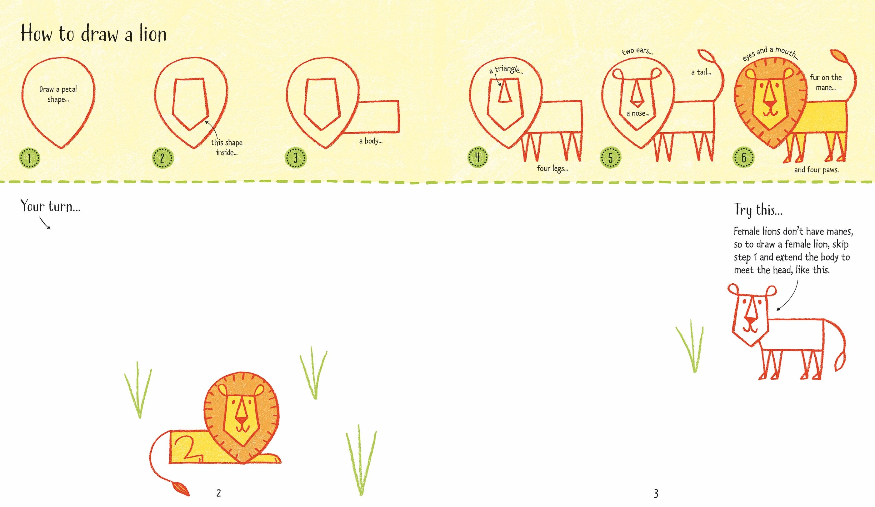 step-by-step drawing zoo animals