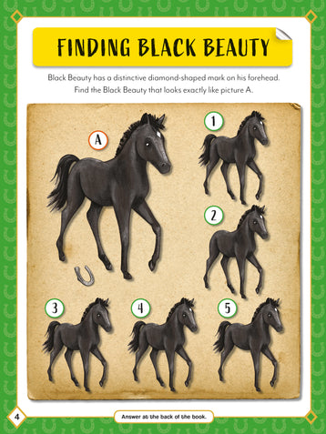 sticker activity books - black beauty