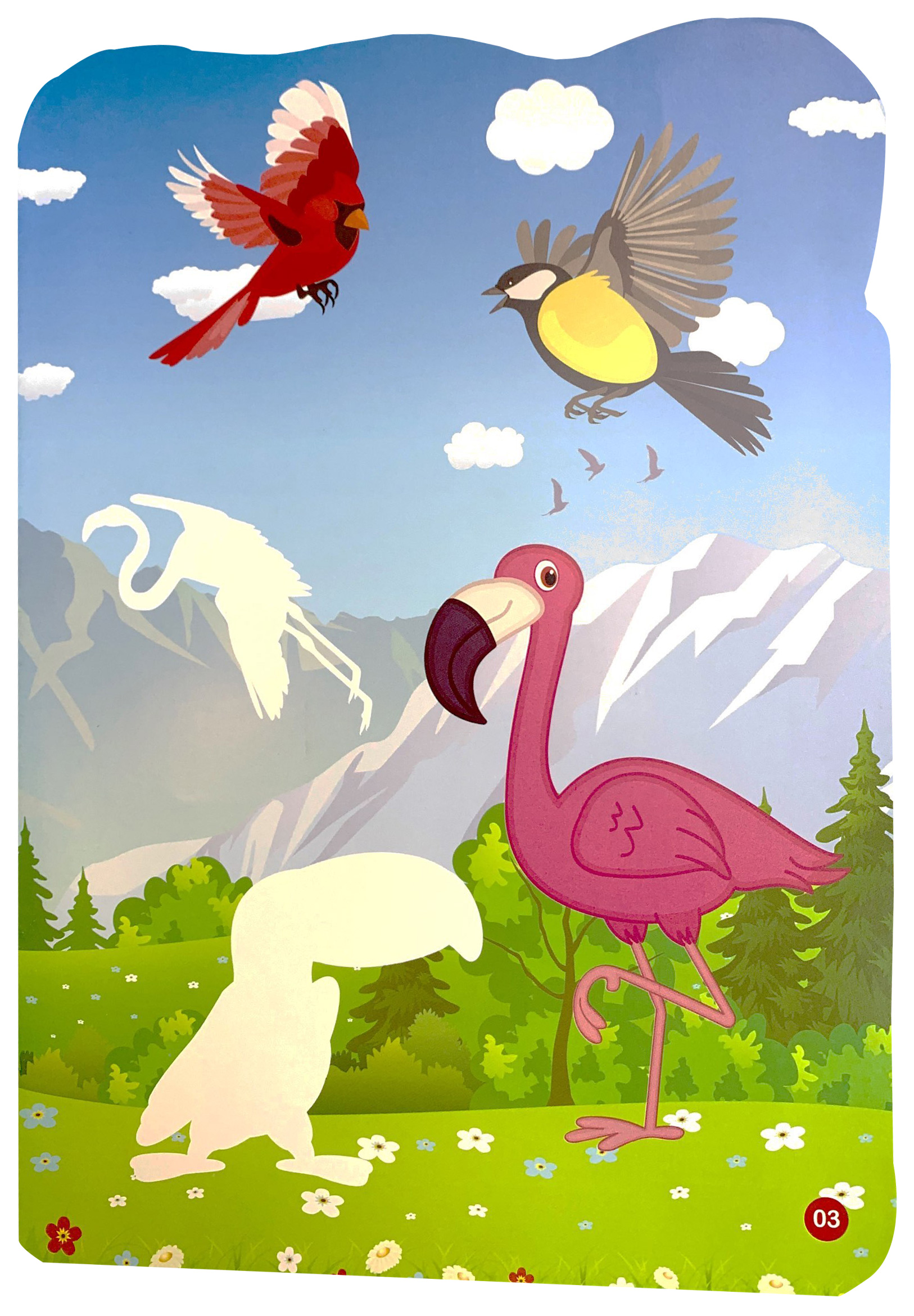 sticker dán hình thông minh - thế giới động vật - thế giới loài chim