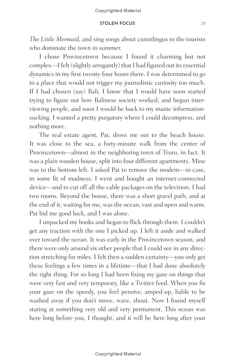 stolen focus: why you can't pay attention