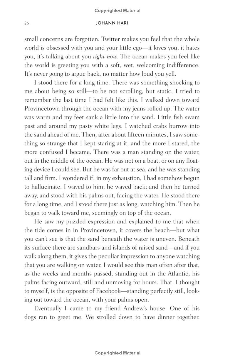 stolen focus: why you can't pay attention