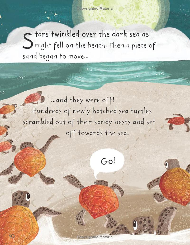 stories from the sea