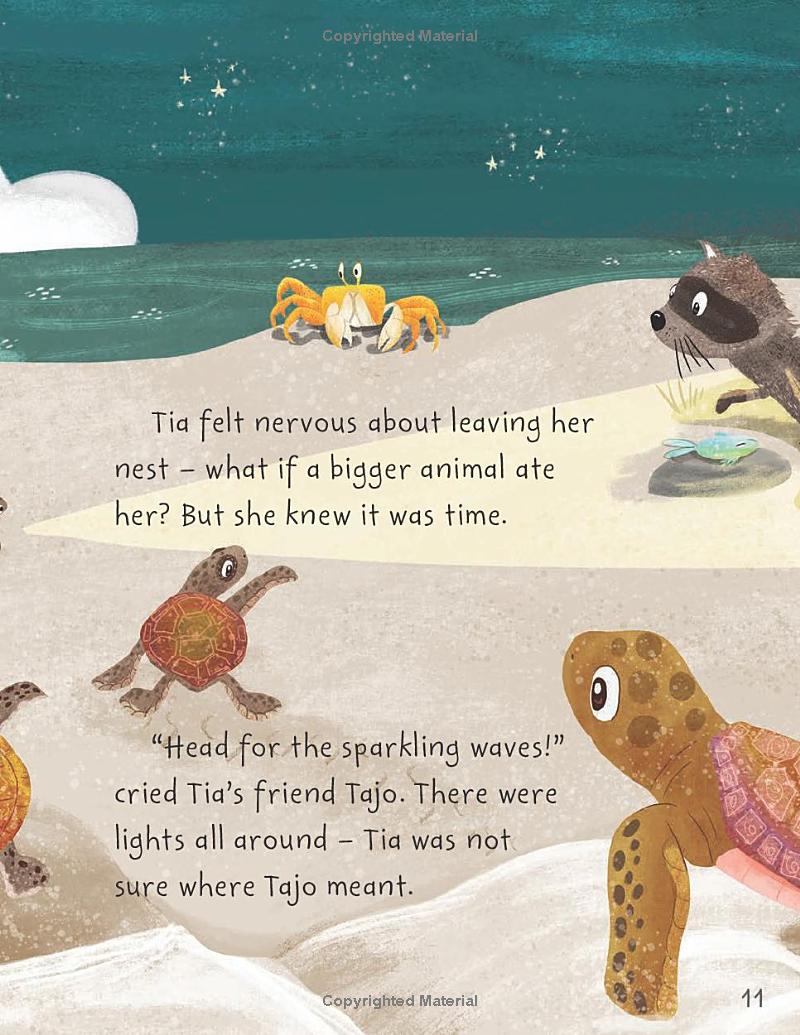 stories from the sea