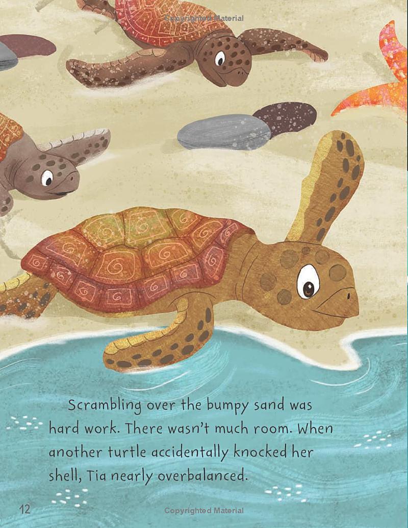 stories from the sea