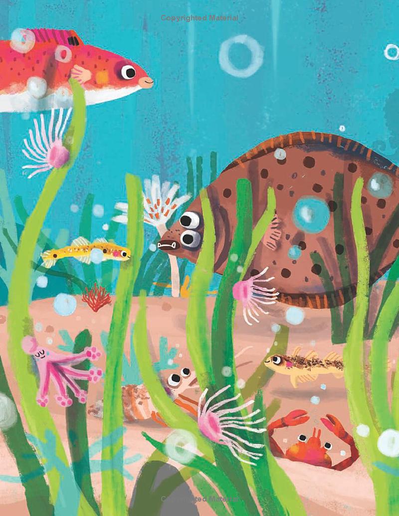 stories from the sea